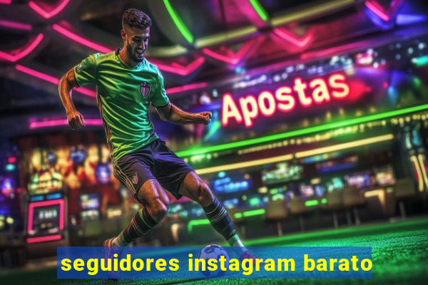 seguidores instagram barato